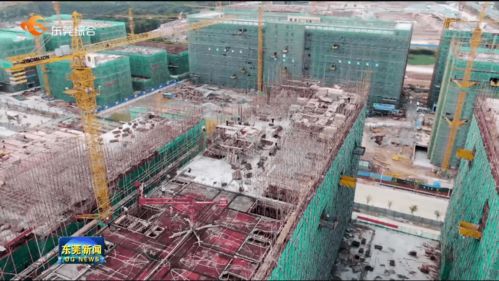 我市提前完成年度重大項目開工任務，累計新開工142個