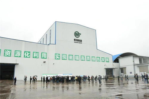 石膏新紀元 走進優質石膏工廠，見證機械化施工的力量